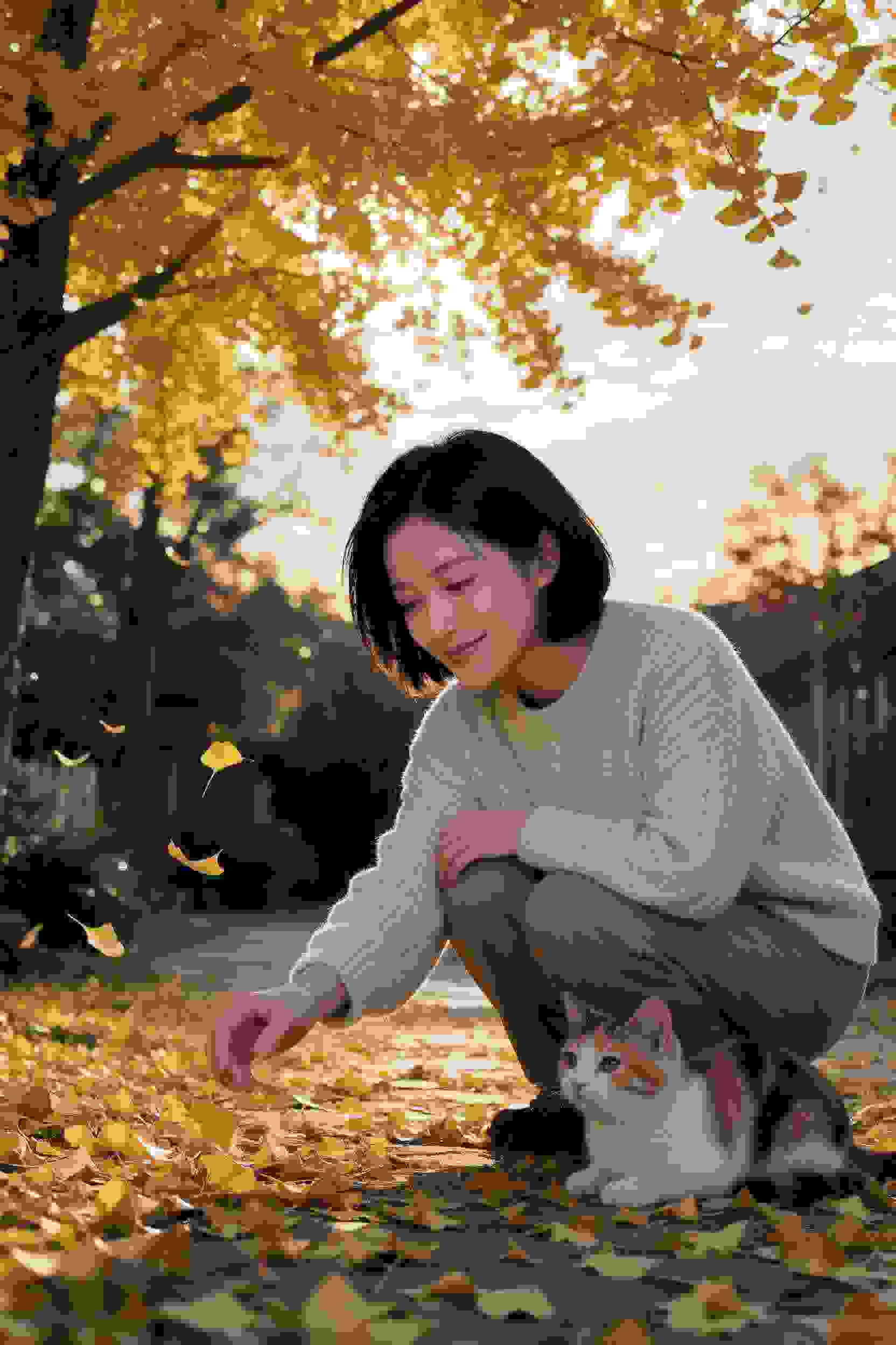 星辰恋语